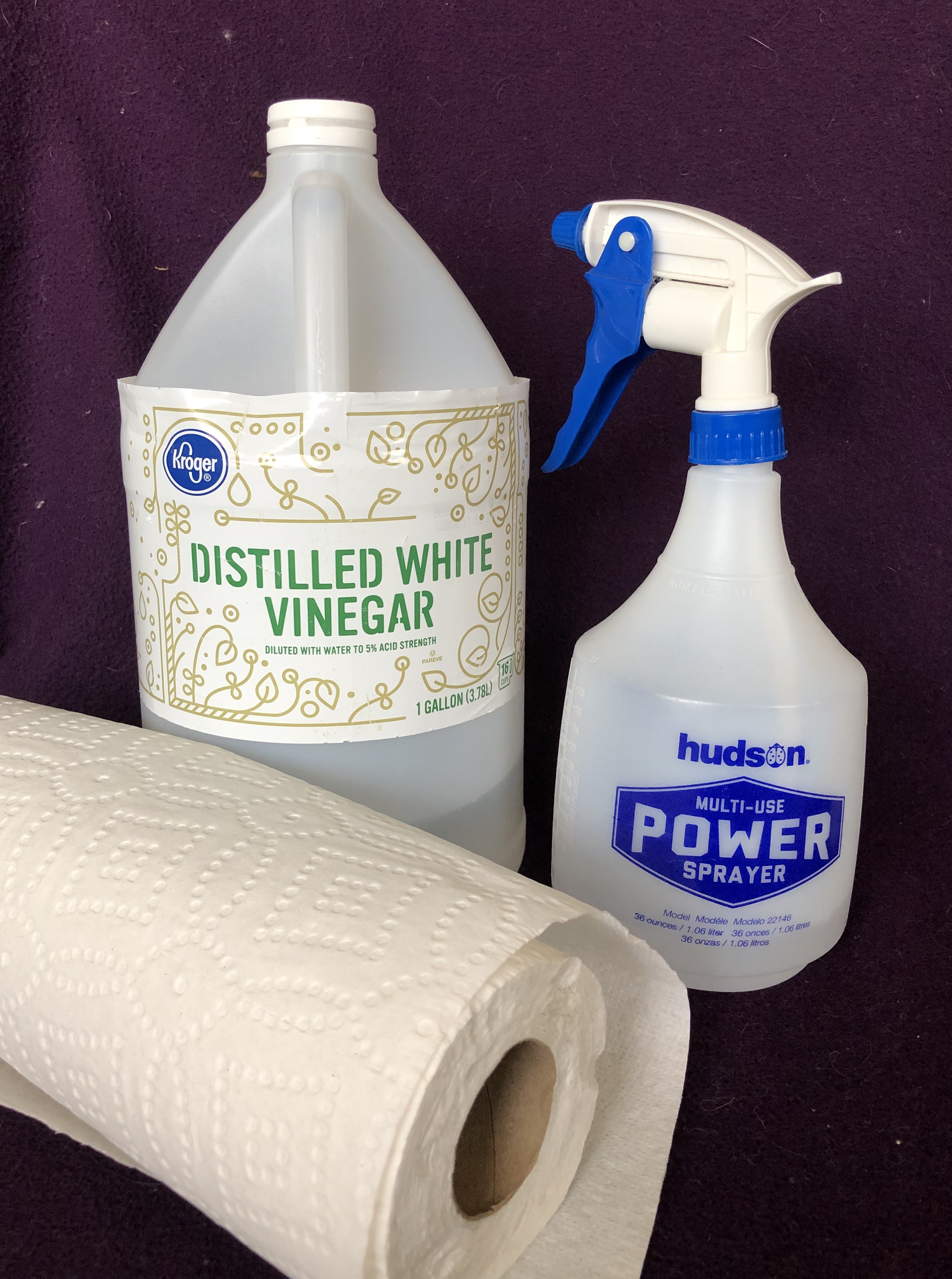 how to clean a litter box with vinegar
