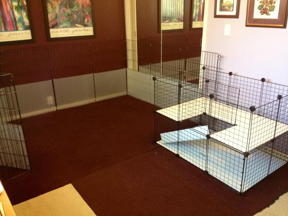 House rabbit hotsell cage ideas